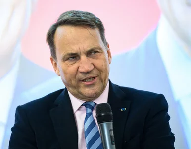 Miniatura: Polscy żołnierze zostaną wysłani do...