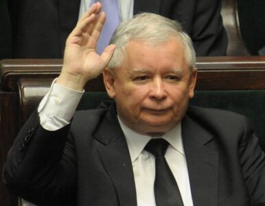 Miniatura: Kaczyński: Tomaszewski będzie ukarany