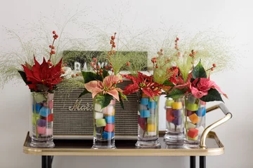 Poinsecja znana także jako gwiazda betlejemska 