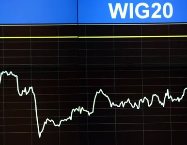 Miniatura: Pieniądze z pensji to za mało? Ekspert ma...