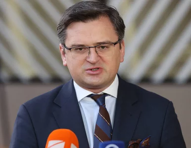 Miniatura: Wojna na Ukrainie. Apel szefa ukraińskiej...