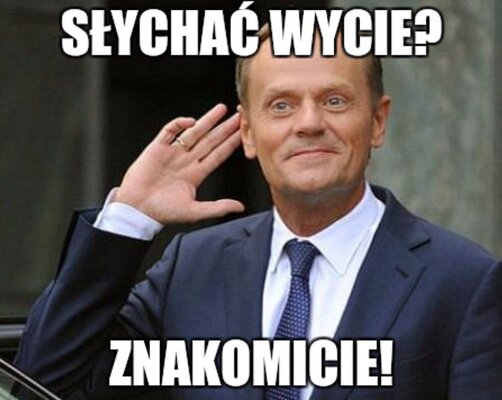 Miniatura: Memy po wpisie na Twitterze Donalda Tuska