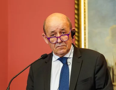 Miniatura: Najpierw Niemcy, teraz Francja....