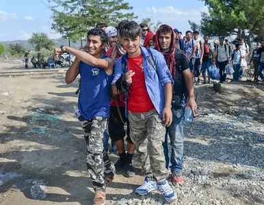 Miniatura: Azyl dla brodatych nastolatków, czyli jak...