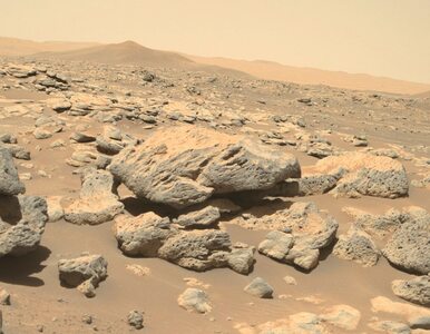Łazik NASA znalazł związki organiczne na Marsie