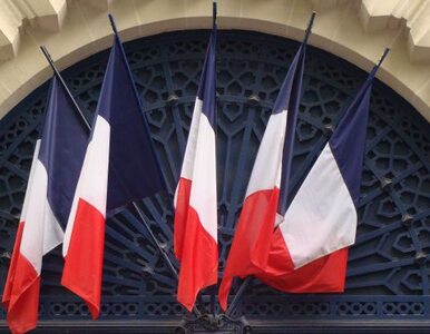 Miniatura: Francja zatrzymuje powiązanych z islamem
