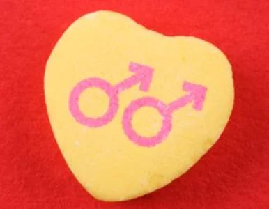 Miniatura: Ślub gejów w Szczecinie