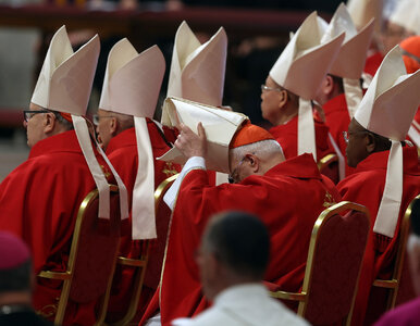 Miniatura: Eksces w czasie wyboru papieża Leona XIV....