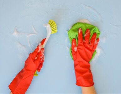 Miniatura: Pleśń na suficie? Nie ignoruj jej!...