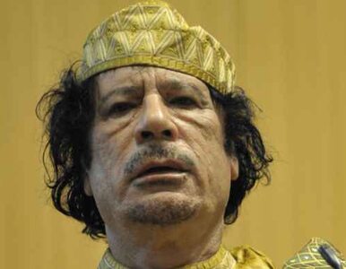 Miniatura: "Kadafi to szaleniec. Będzie gryzł"