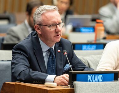 Miniatura: Ambasador Polski przy ONZ o rosyjskich...