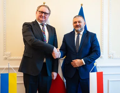 Miniatura: Польща і Україна заявляють про мир і...