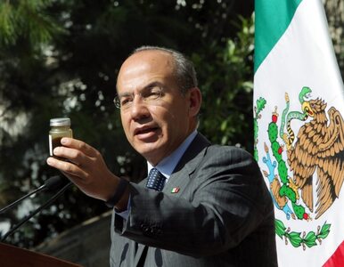 Miniatura: Meksyk walczy z kartelami narkotykowymi