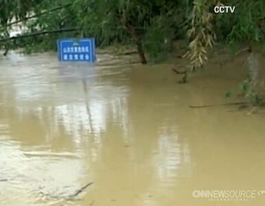 Miniatura: 25 ofiar, powódź, połamane drzewa. Tajfun...