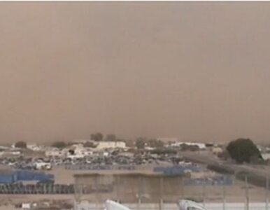 Miniatura: Zobacz burzę piaskową nad Arizoną