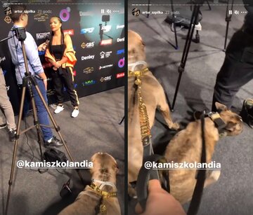 Artur Szpilka z&nbsp;psami na&nbsp;konferencji przed galą FAME MMA 9