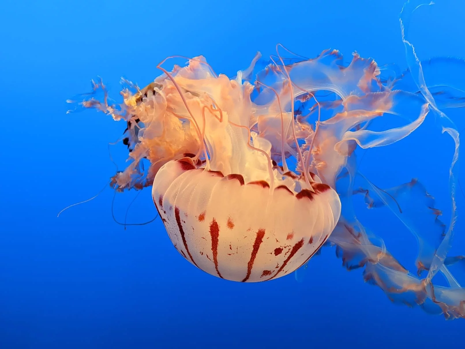 Wiesz, co jest na tych zdjęciach? 6/10 osób nie ma pojęcia