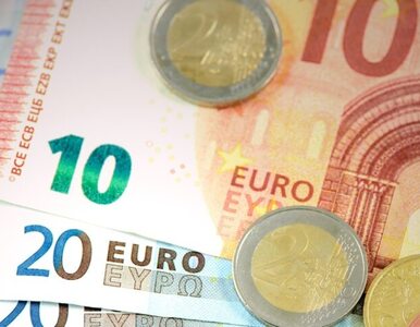 Miniatura: Euro spada do najniższego poziomu od 20...