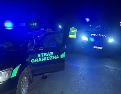 Miniatura: Kryzys na granicy. Dwie wersje historii,...