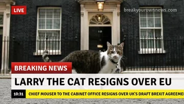 Rządowy kot rezygnuje po ogłoszeniu wstępnych ustaleń ws. Brexitu 