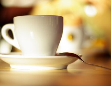 Miniatura: Jak kofeina wpływa na mózg? SWPS nagradza...