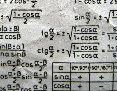 Miniatura: Korepetycje z matematyki przez internet