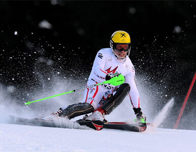 Miniatura: Alpejski PŚ: Hirscher wygrał, Matt...