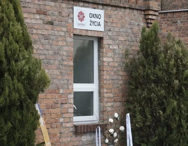 Miniatura: Dziesięciodniowa dziewczynka w oknie...