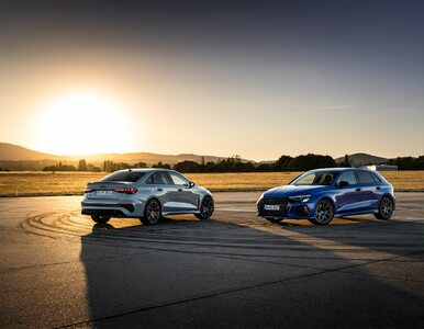 To auto może pojechać... 300 km/h. Audi RS 3 Performance Edition