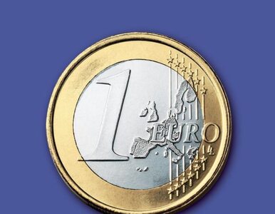 Miniatura: Trudna droga do euro