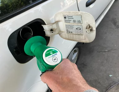 Miniatura: O 1 zł mniej. Rolnicy żądają jeszcze...