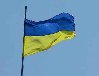 Miniatura: Rozejm trwa, Ukraińcy szykują obronę i...