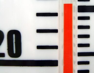Miniatura: W Hiszpanii termometry pokazują 27 stopni C