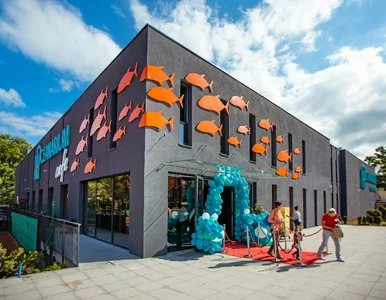 Miniatura: Otwarcie Oceanarium w Międzyzdrojach