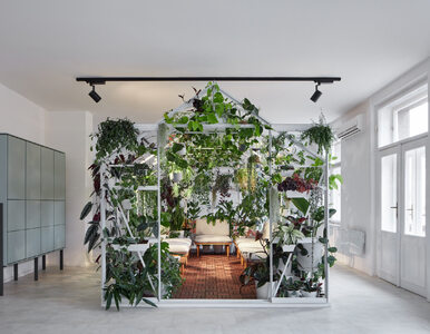 Miniatura: Rośliny we wnętrzu – zielone biuro