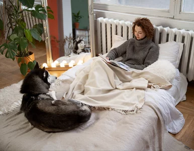 Miniatura: Trzaskający mróz za oknami, a w mieszkaniu...