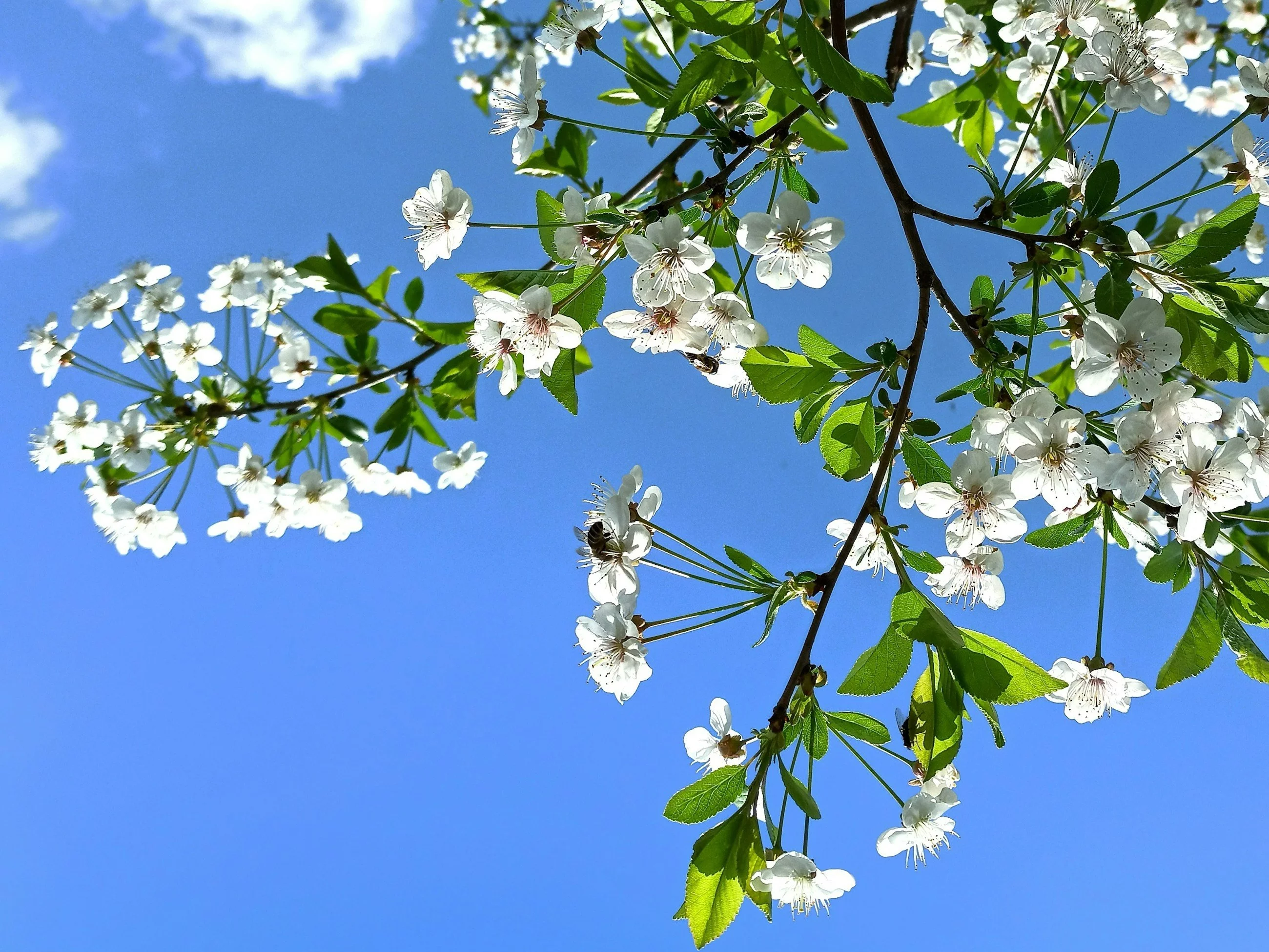 Wiosenny quiz z wiedzy ogólnej. Zawalcz o 10/10