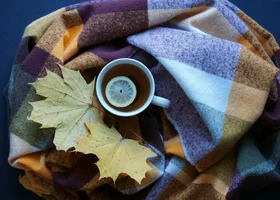 Miniatura: Szkolny quiz ortograficzny. Potraktuj go...