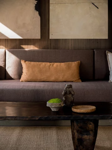 Wnętrza w kolorach ziemi, projekt Zoom Design Azja, Zoom Design, natura