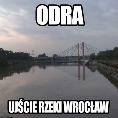 Miniatura: Memy - ulewa we Wrocławiu