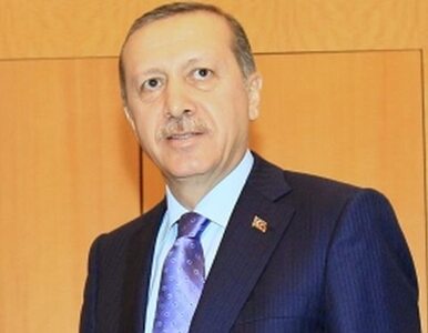 Miniatura: Premier Turcji chce, by rodziny były...