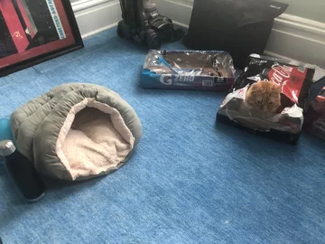 Najwygodniejsze miejsce do spania 