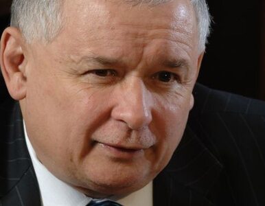 Miniatura: Kaczyński: prokurator przyznał, ze trotyl był