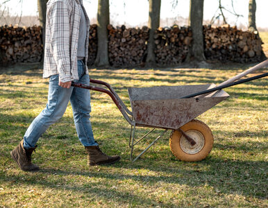 Miniatura: Posyp tym trawnik do końca października....