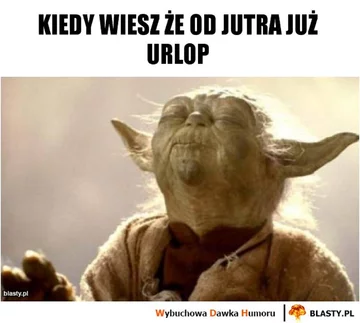 Dzień wolny? Internauci odpowiadają memami 