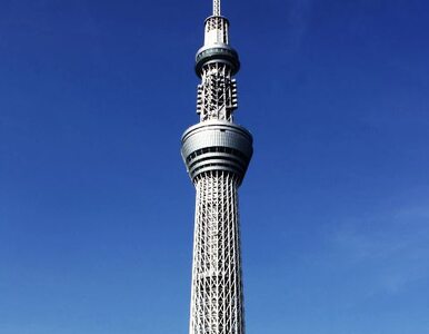 Miniatura: Najwyższa wieża na świecie stoi w Japonii
