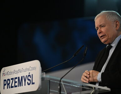 Kaczyński śmiał się ze Stuhra. „Żeby jego zbrodnie ograniczyły się do...