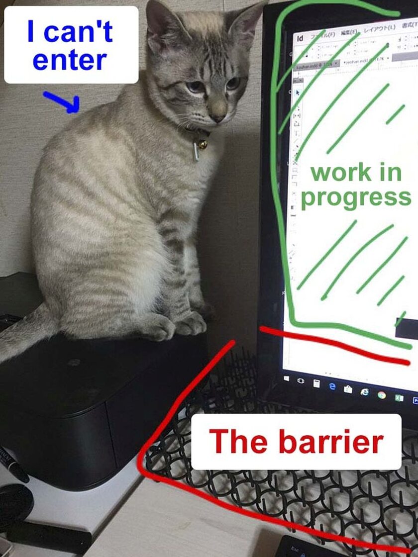 Защита клавиатуры от котов