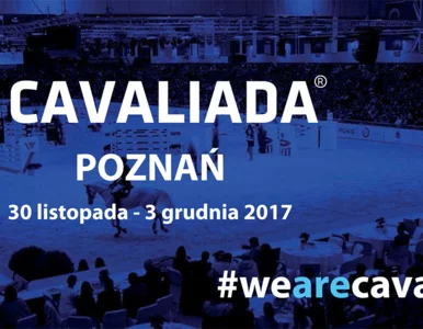 Miniatura: Prawdziwe konne show