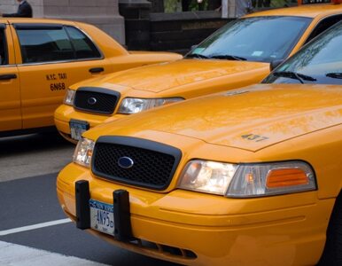 Miniatura: Nowojorscy taksówkarze naciągnęli...